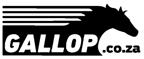 Partner Logo - Vingamedia Agency