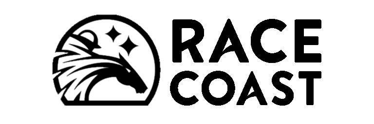 Partner Logo - Vingamedia Agency