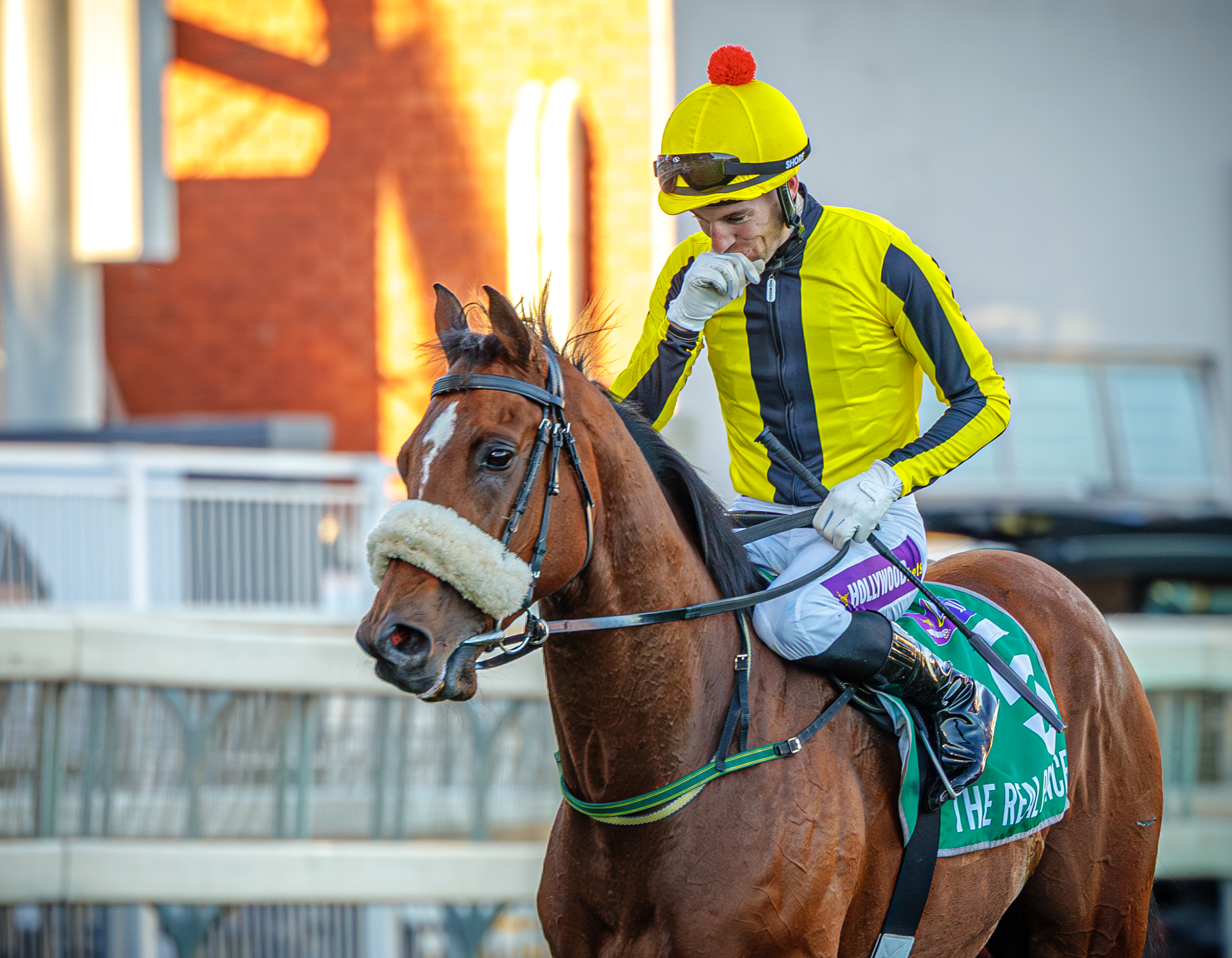 GallopTV project preview